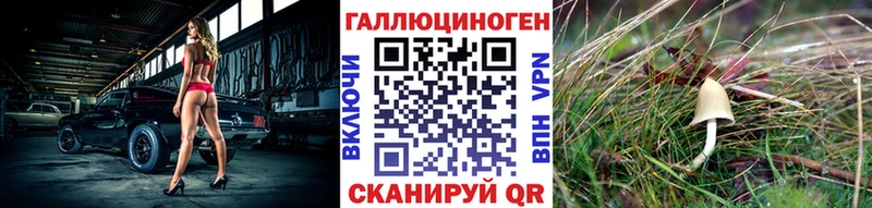 Псилоцибиновые грибы Psilocybe  Нестеровская 